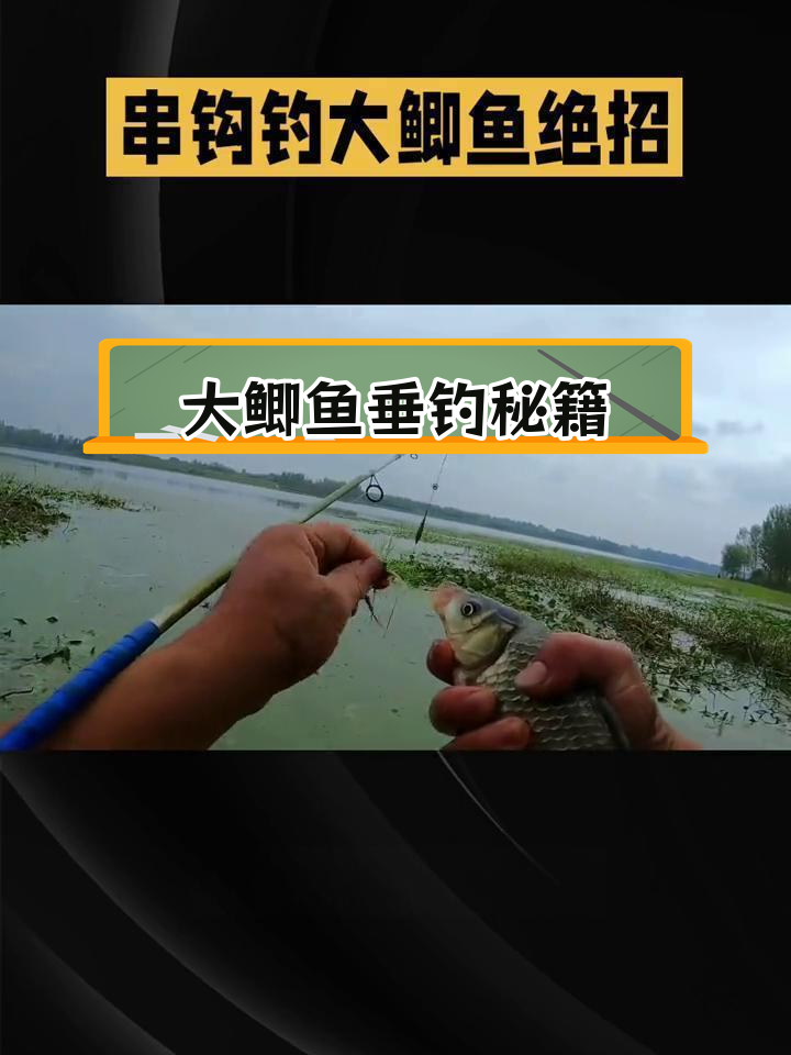 冬季钓大鲫鱼的技巧,轻松掌握串钩钓鱼法