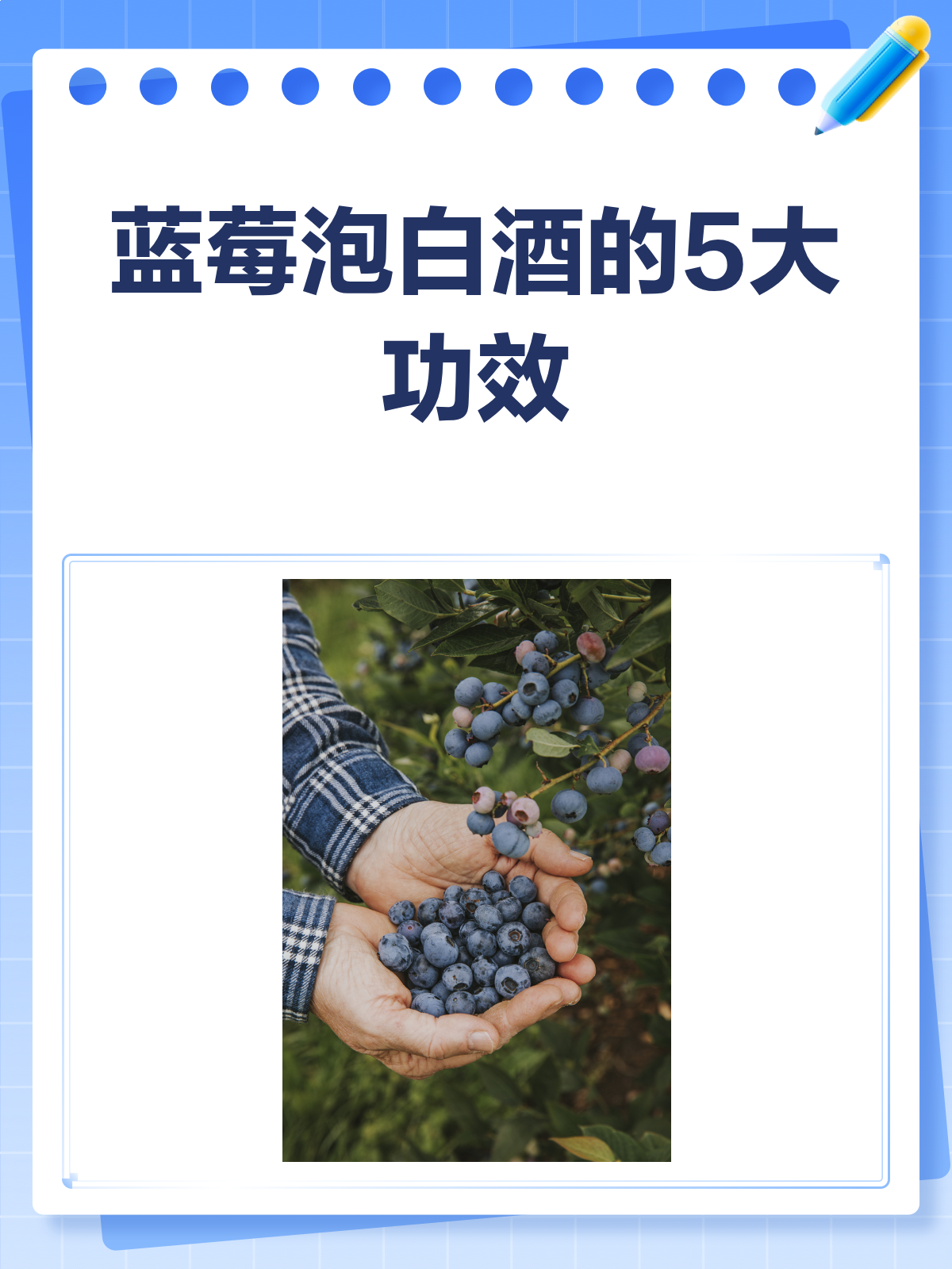 蓝莓泡白酒,这些功效与作用你知道吗?