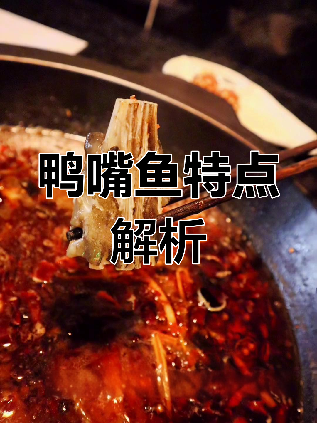 鸭嘴鱼与鹅嘴鱼的差异对比