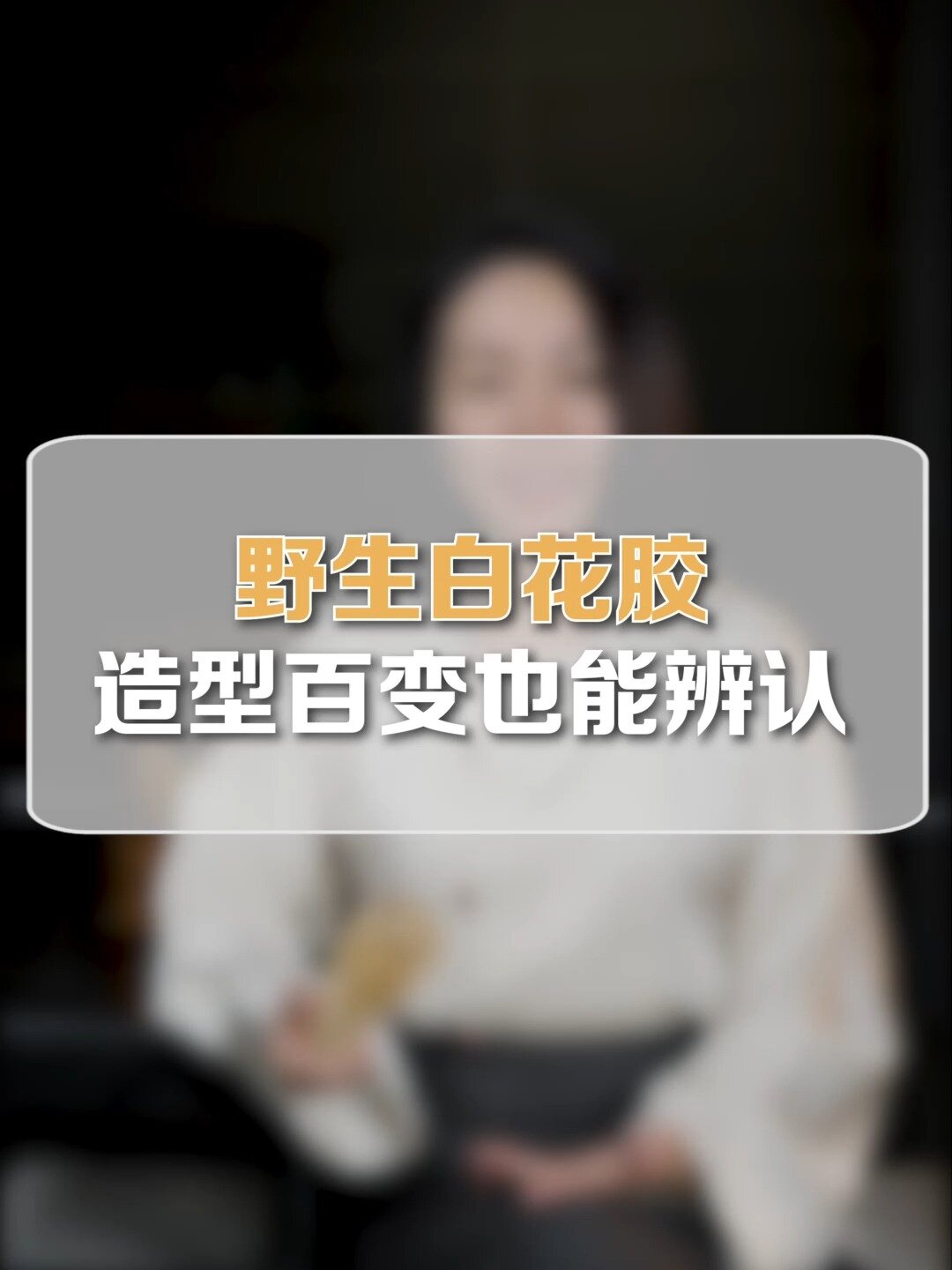 真正的野生白花胶,看清楚就不会踩坑