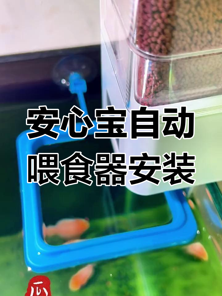 自动喂食器安装与配置教程