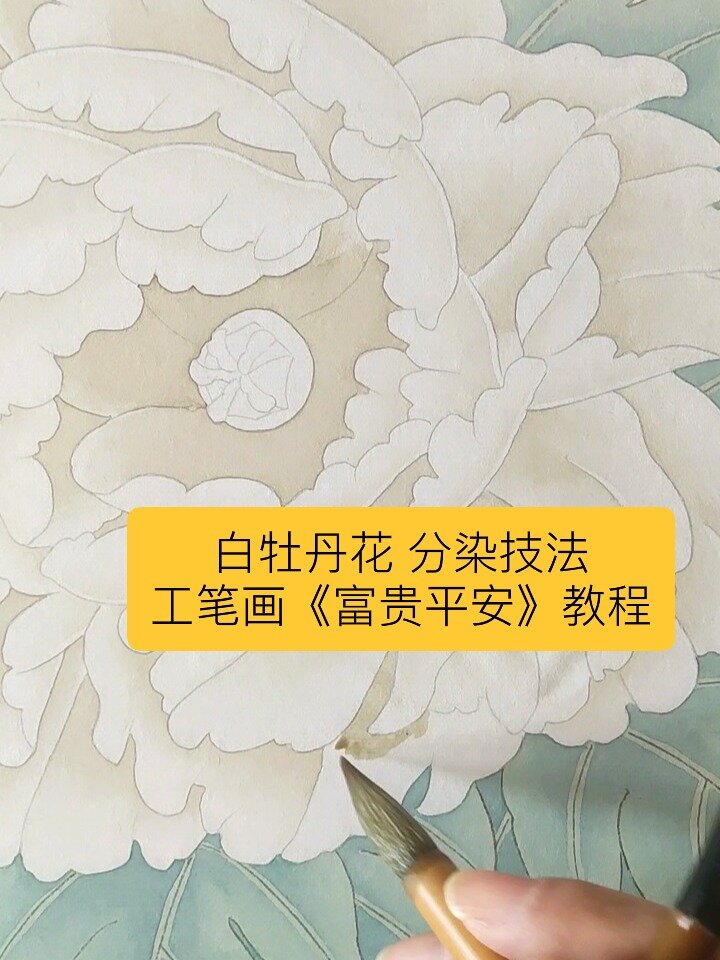 白牡丹花分染技法工笔画《富贵平安》教程