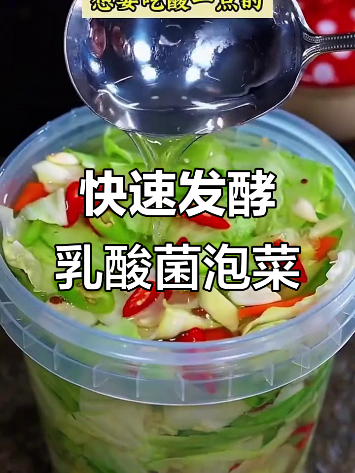 四川小师傅教我做乳酸菌泡菜,简单又酸脆爽口