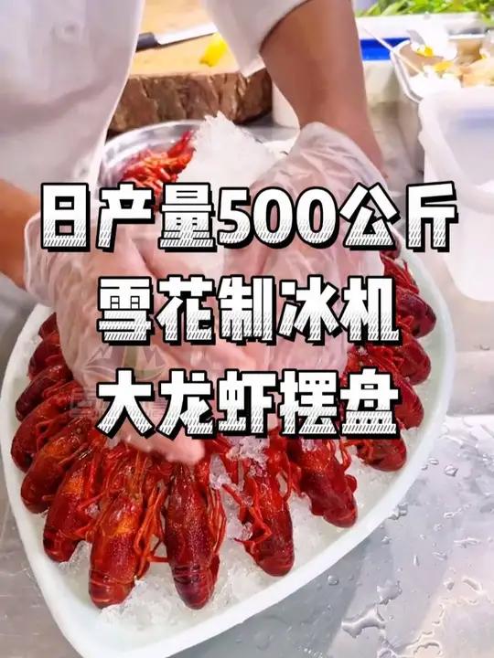 日产量500公斤雪花制冰机大龙虾摆盘,不久好吃更新鲜