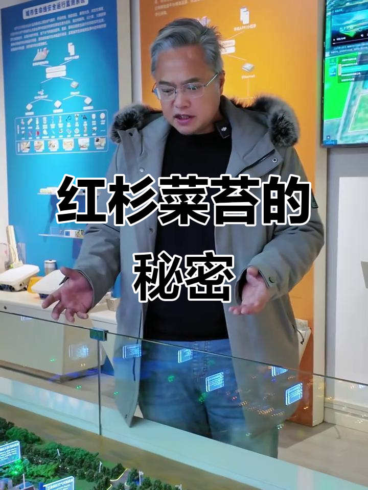 洪山菜苔为何能卖688元一斤?数字化农业如何助力品质提升