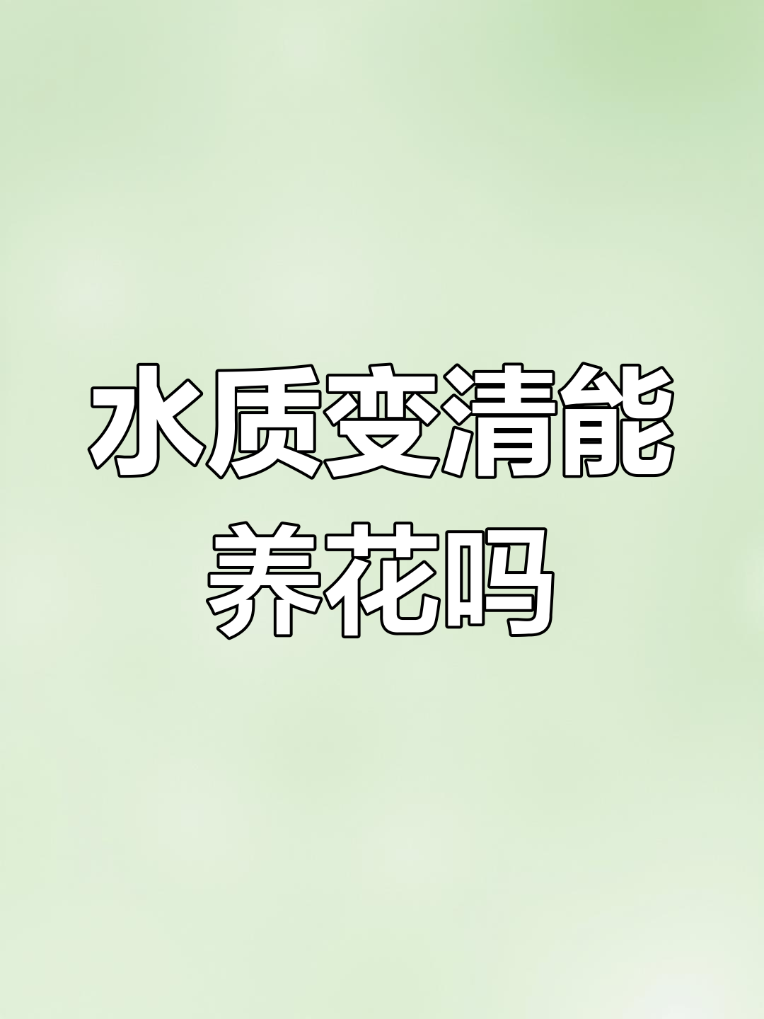 鱼缸水质变化揭秘,如何判断硝化菌是否成功