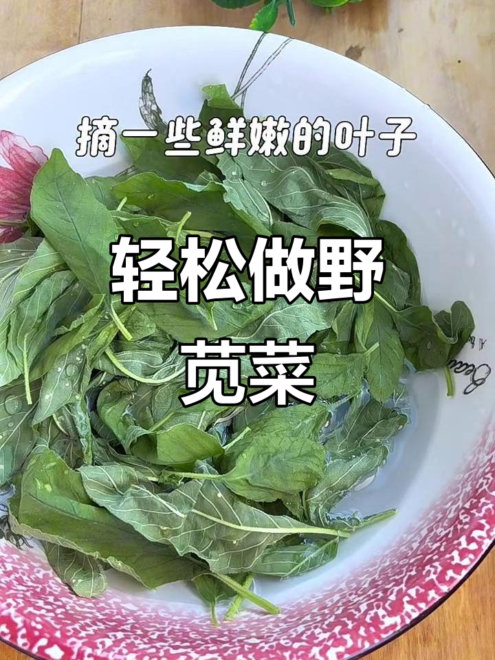 农村常见野苋菜，简单做法变美味