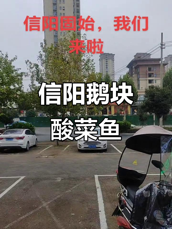 信阳固始鹅块酸菜鱼,带你体验地道美味