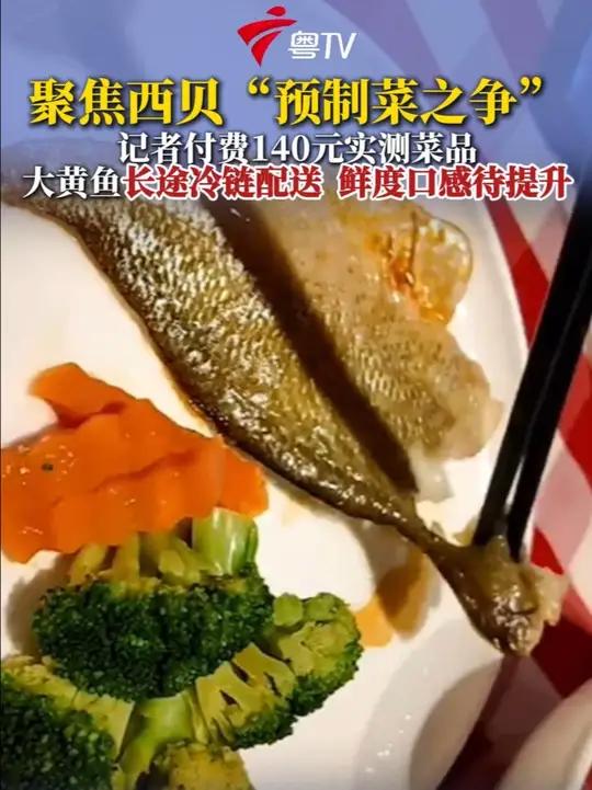 近日,罗永浩吐槽“西贝全是预制菜”一事在网上引发热议。9月13日,记者实地走进西贝餐厅(广