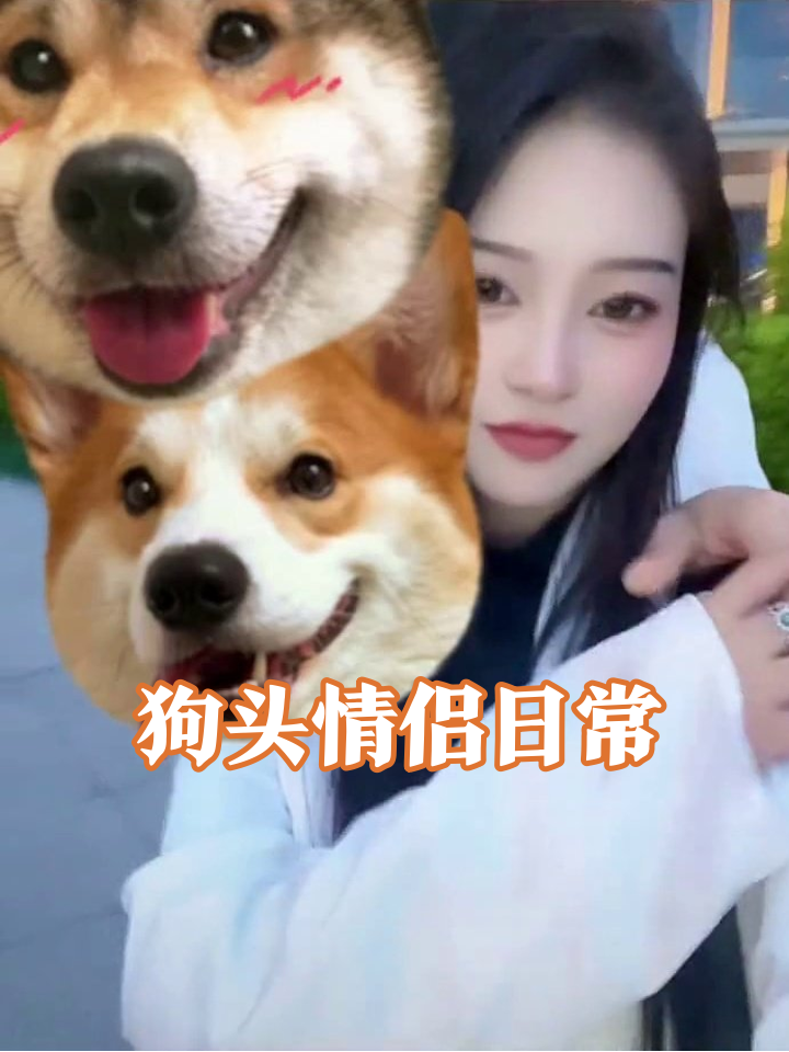 当情侣用狗头表情包谈恋爱，甜度超标还带毛！