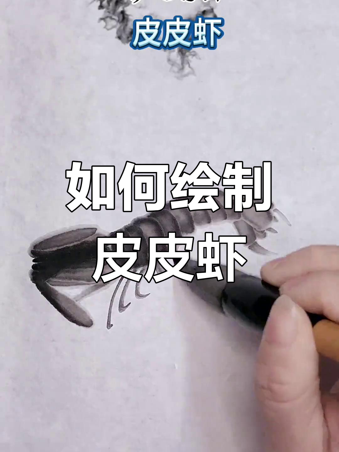 皮皮虾画法教程