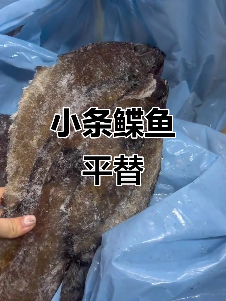 鲽鱼价格飙升,小条替代品只需50元三斤!