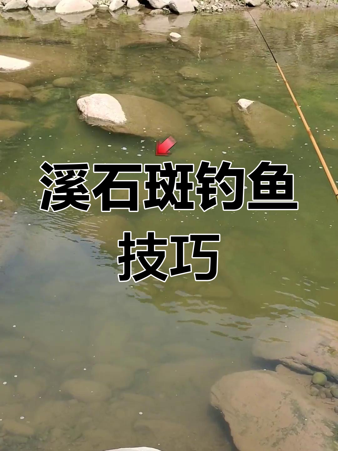 石斑鱼底层游动,溪流钓技巧大揭秘