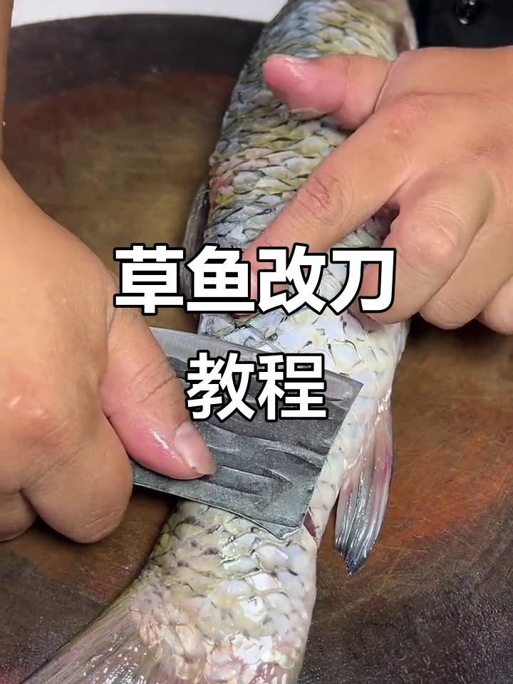 草鱼改刀技巧大揭秘,轻松做出脆皮烤鱼!