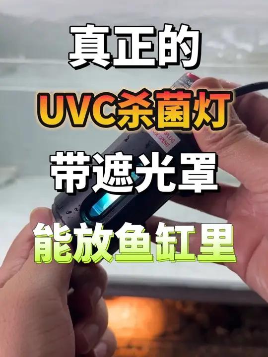 带遮光罩可以直接放在鱼缸里的杀菌灯