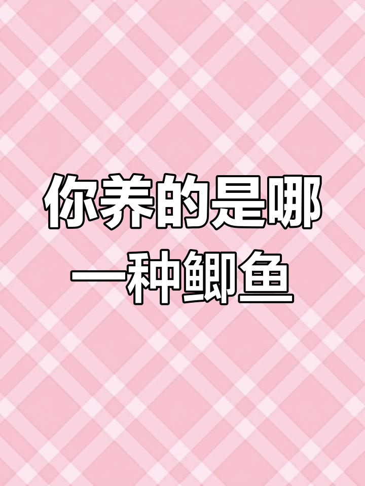 鲫鱼种类繁多,哪种最适合你?
