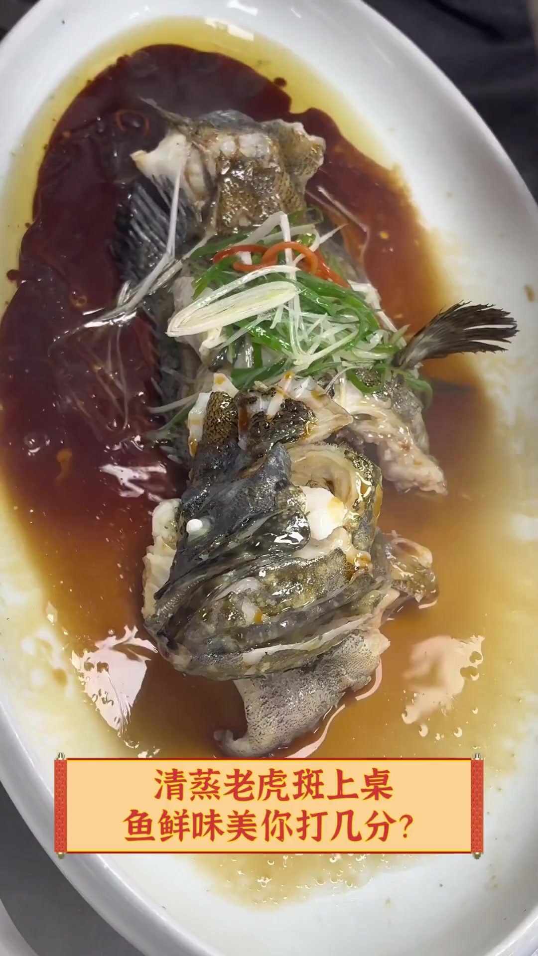 清蒸老虎斑上桌,鱼鲜味美你打几分?