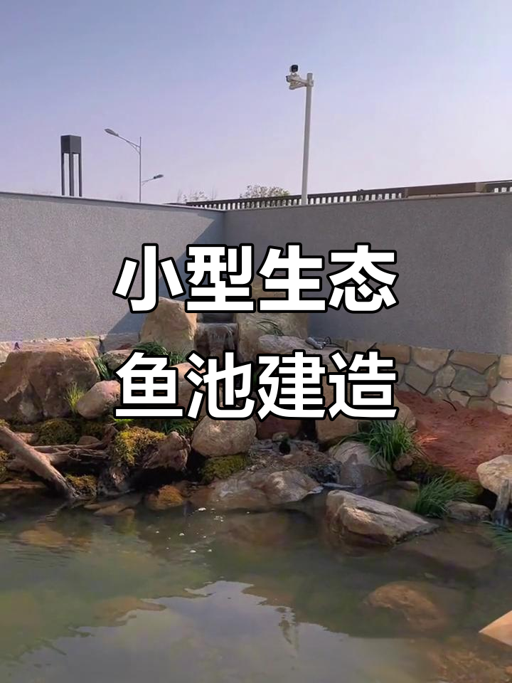 20平米打造生态鱼池,别墅庭院景观设计全攻略