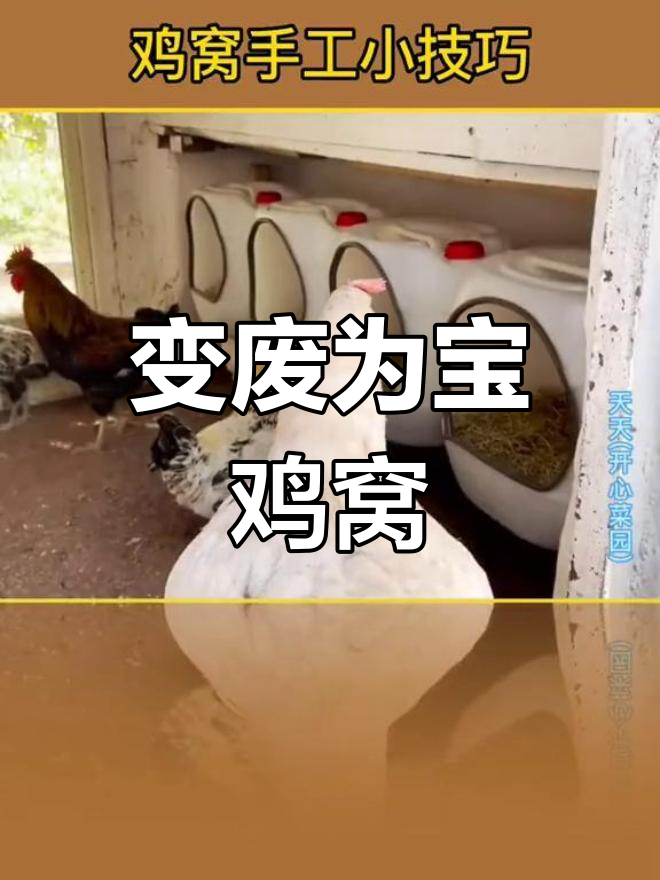 废弃塑料桶变鸡窝,创意手工让废物重生!