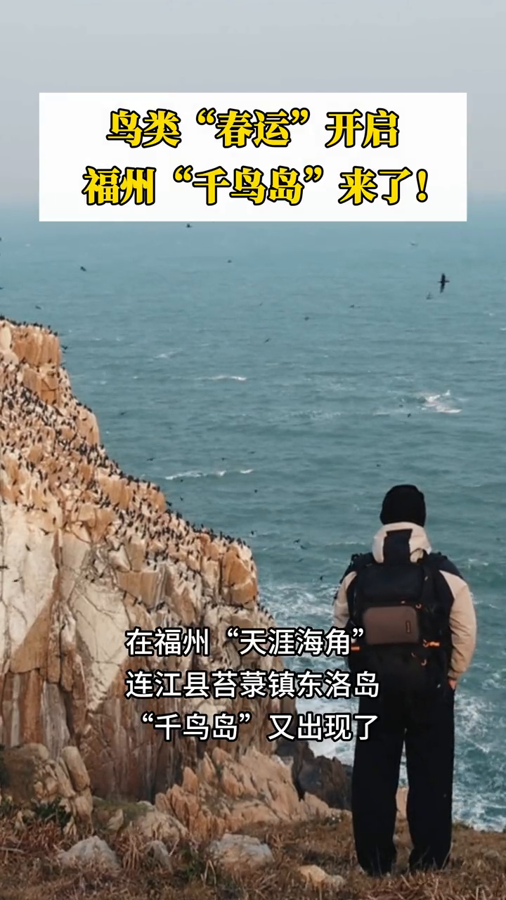 鸟类“春运”开启,福州“千鸟岛”来了