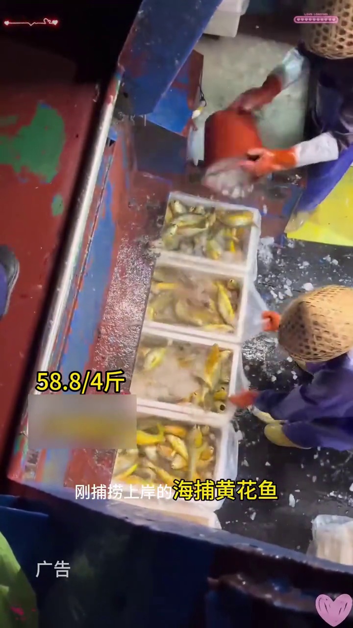 现捕现称不耍滑!4 斤硬邦邦的分量,够全家吃两顿!58.8 块钱,买条冻鱼都未必够,现在能
