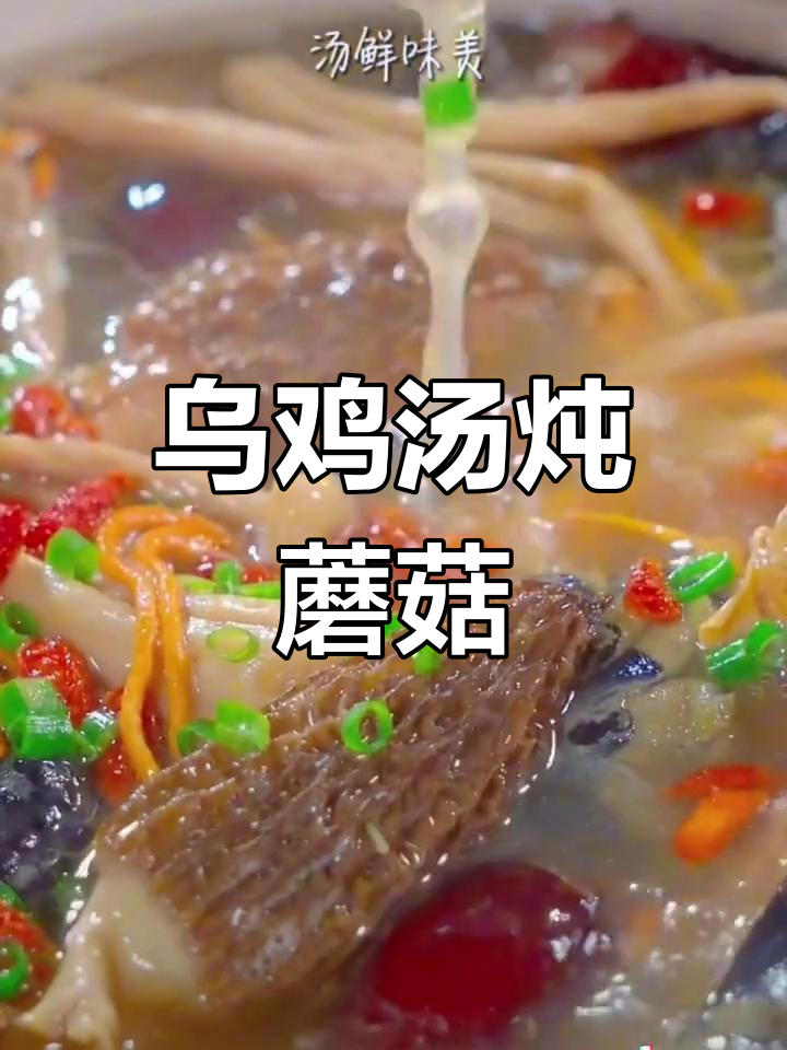 乌鸡菌菇汤,鲜香营养又美味