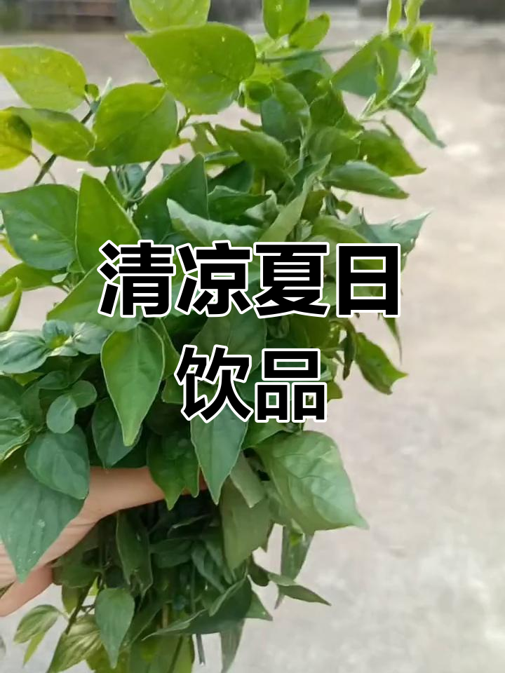 夏日消暑,一碗九干菜豆腐汤清爽又解渴