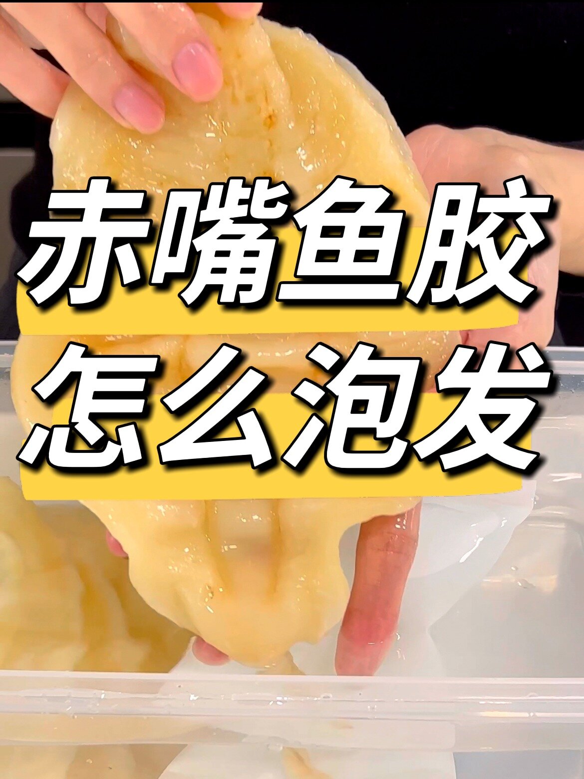 全网醉详细赤嘴鱼胶泡发,一看就会,快收藏