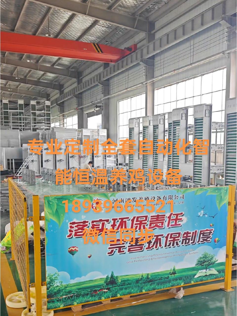 自动化养鸡设备厂家 养殖设备一站式采购 鸡笼设备 质量第一诚信为本