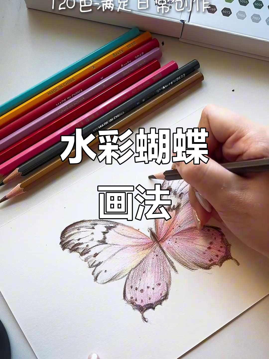 彩铅蝴蝶教程:如何画出栩栩如生的水彩效果