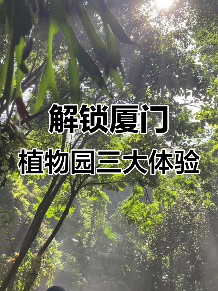 探秘厦门园林植物园:雨林、多肉与女庄园的完美邂逅