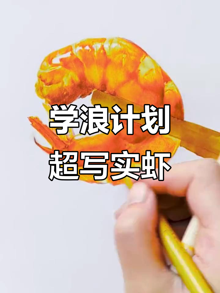 彩铅画写实虾,步骤详解教你轻松掌握