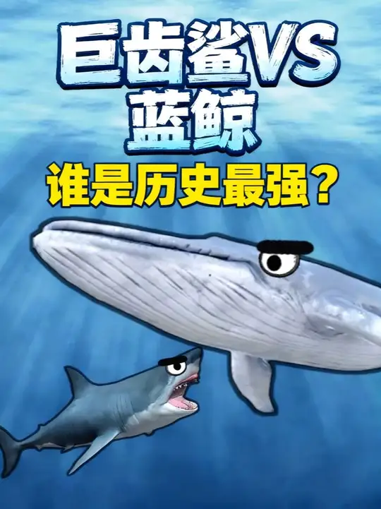 一对一巨齿鲨能打赢蓝鲸吗?