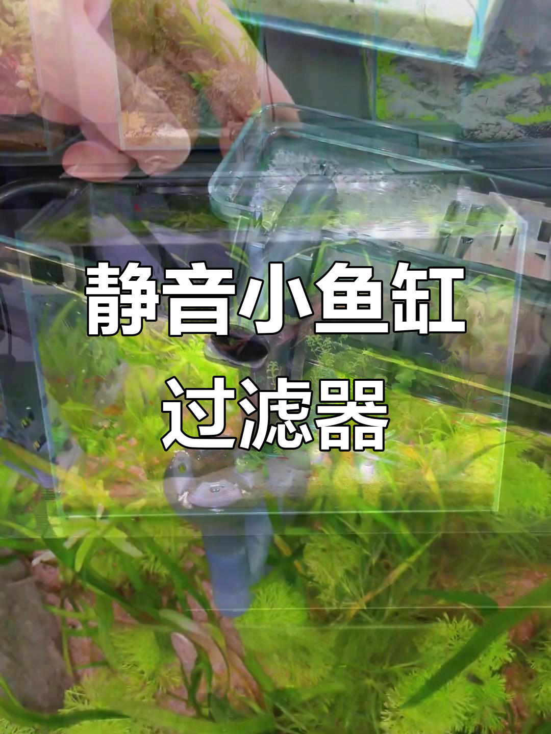 小鱼缸必备静音过滤器,层层过滤更高效