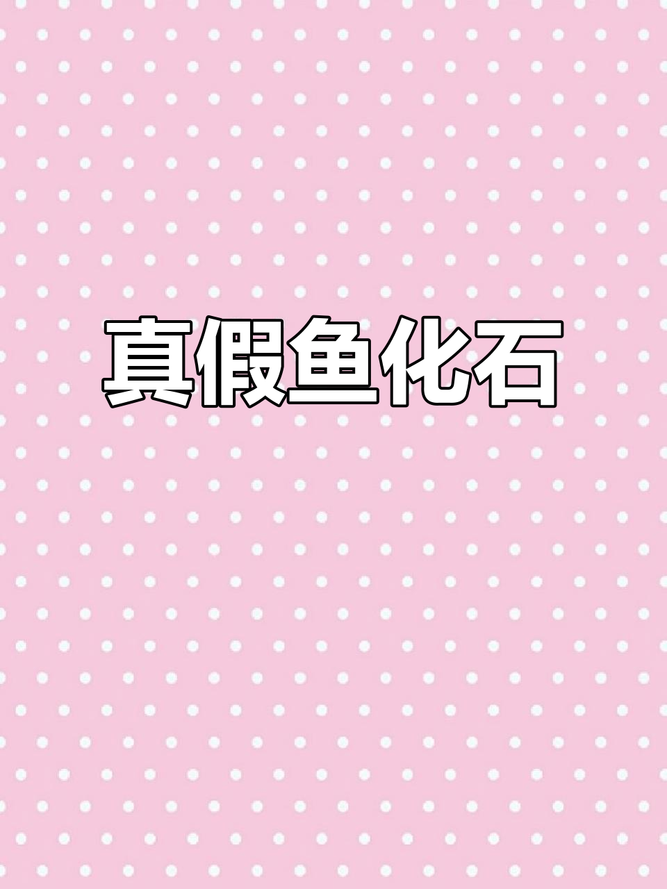 30年前收藏的辽西鱼化石,曾被质疑为假