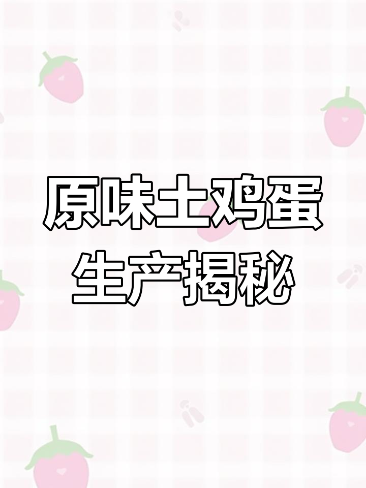 宕昌德青源土鸡蛋生产线:原生态美味,乡村味道传承