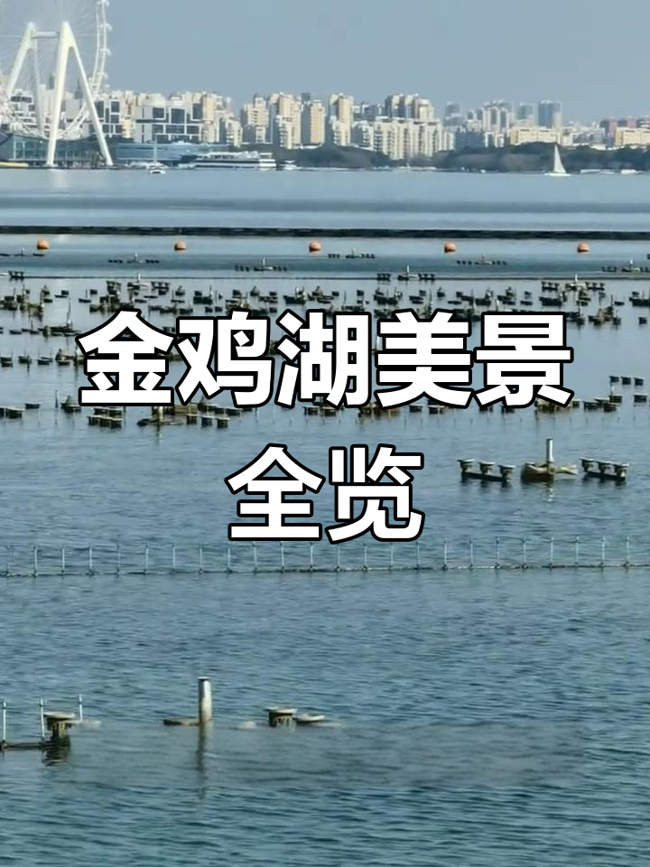 苏州金鸡湖:免费开放的国家5A级景区,超美水上景观等你来探