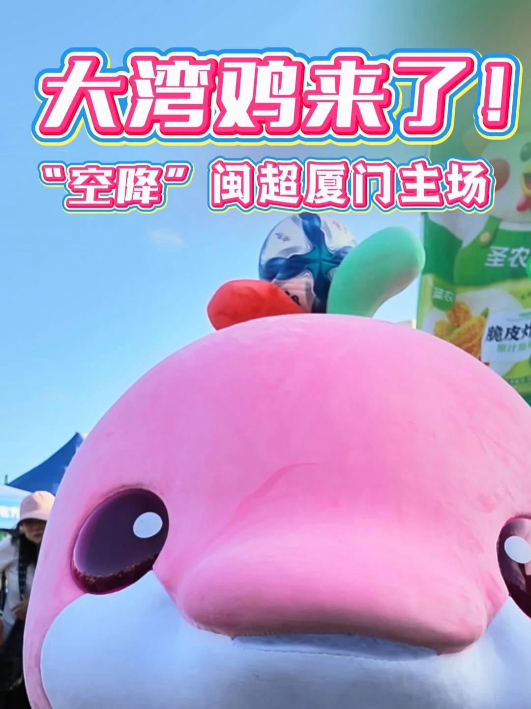 萌翻全场！全运会吉祥物“大湾鸡”“空降”闽超厦门赛场受追捧，为球队应援加油！（采编/麟婷 