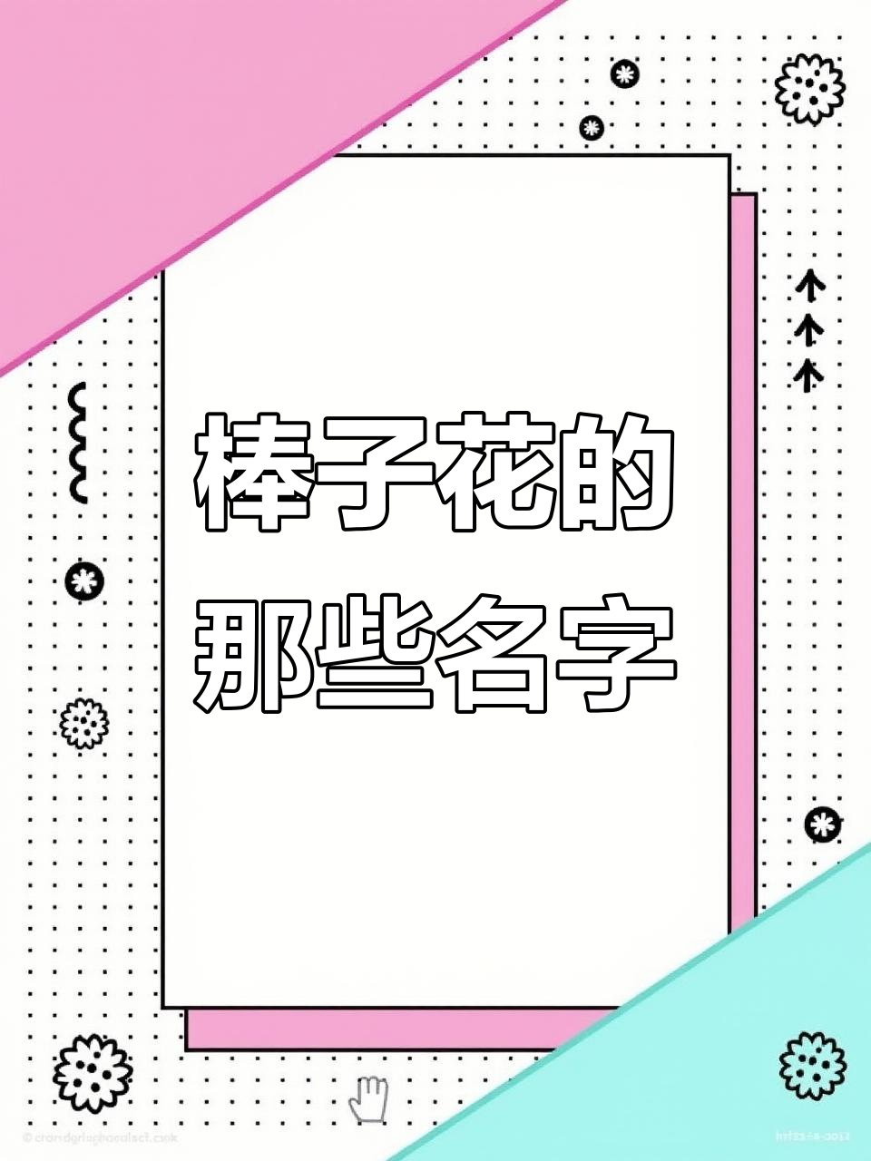棒子花别名大揭秘,北方玉米做、南方大米做的都有!