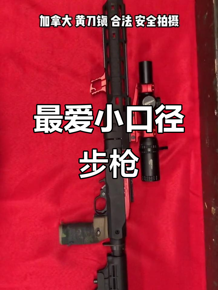 Ruger 10/22,北美最受欢迎的小口径步枪