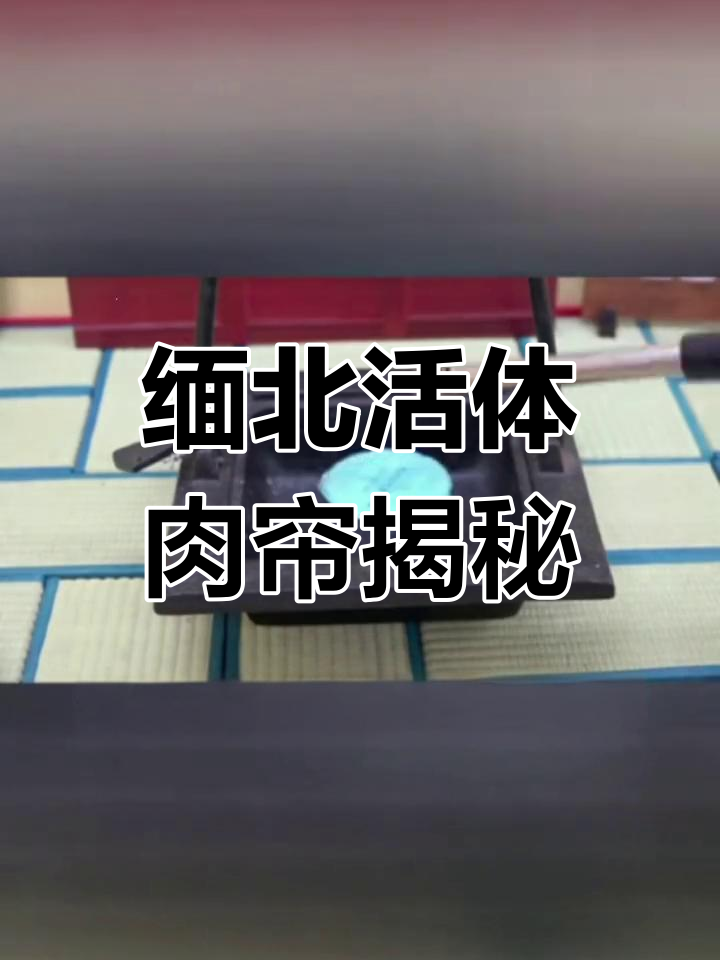 缅北特殊工厂的惊悚内幕:活体肉莲的真实遭遇