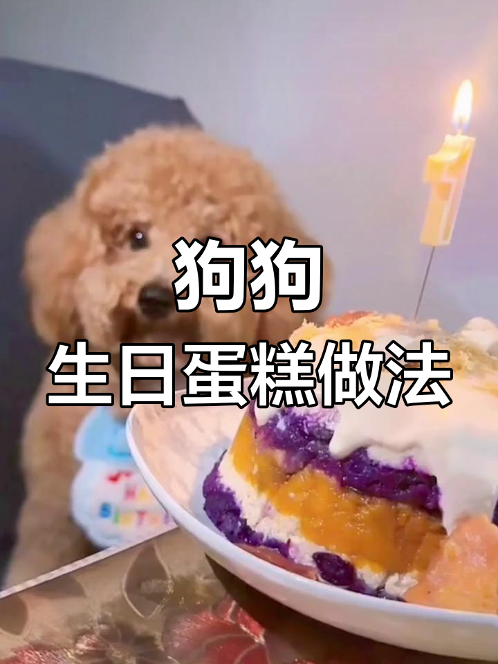 自制狗狗生日蛋糕教程,简单美味