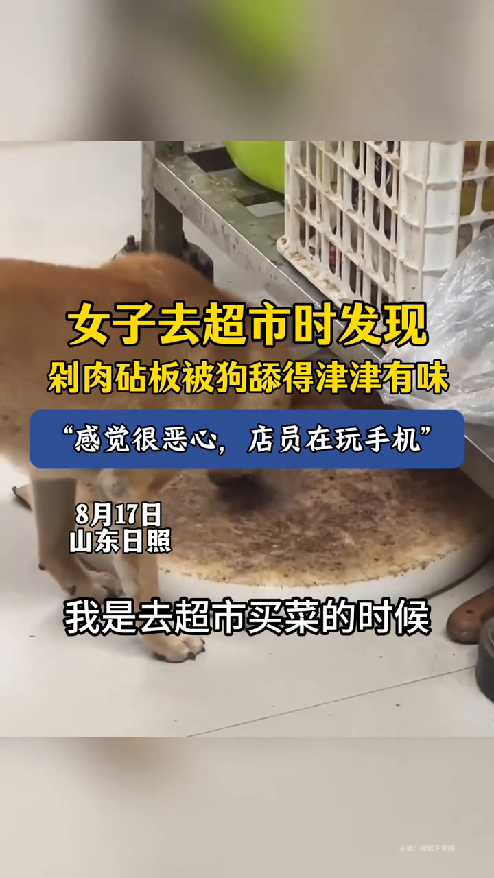 女子去超市时发现,剁肉砧板被狗舔得津津有味:感觉很恶心