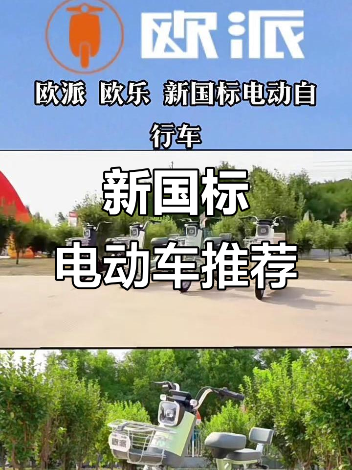 瑞丽欧派电动车新国标,同城发现更便捷