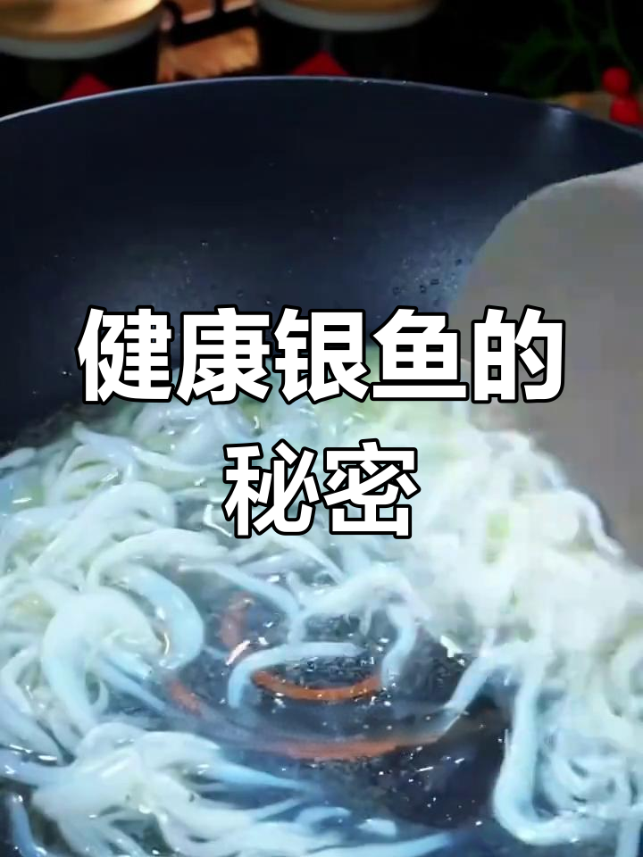 银鱼营养丰富,老少皆宜,低脂高蛋白,健康又美味