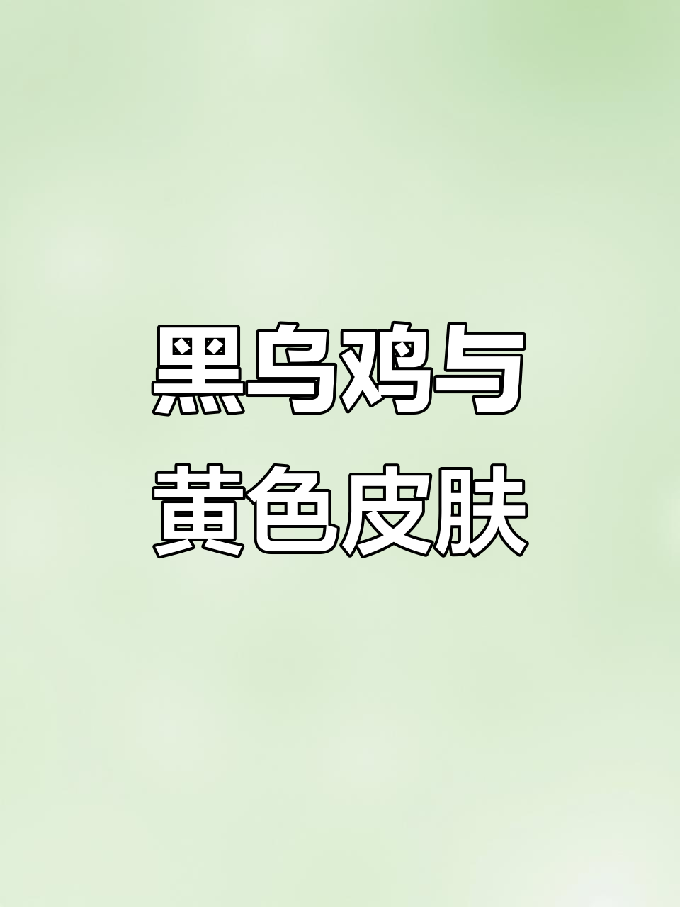 土黑乌鸡与老母鸡的独特魅力,玉米喂养让皮更黄亮