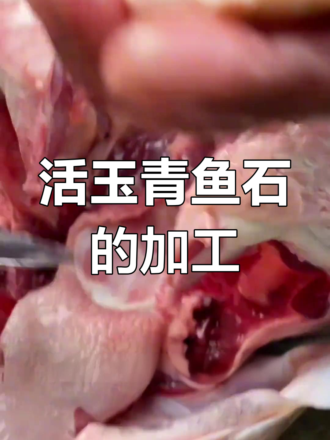 青鱼石取法全揭秘：从软骨到精美吊坠的蜕变