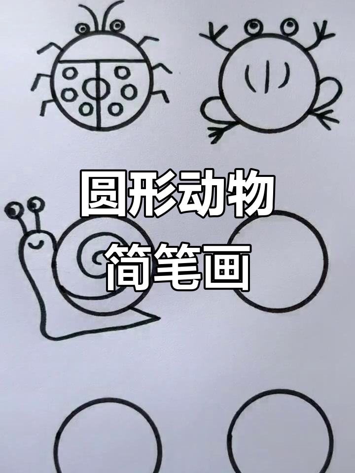 用圆圈画动物，七星瓢虫、青蛙、蜗牛都在等你挑战！