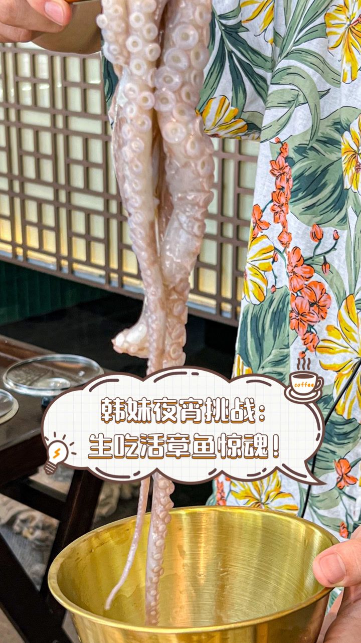 韩妹夜宵挑战:生吃活章鱼惊魂!
