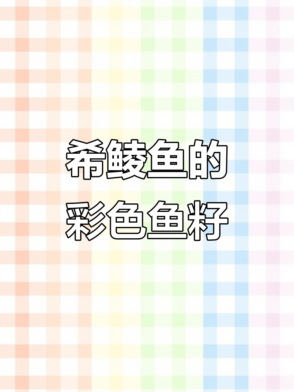 希鲮鱼身上七彩鱼籽,惊艳登场!